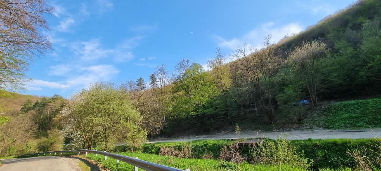 Hos-Cegledi Vendeghaz Miskolc -Oenallo Otthon, Mely Csak Az Oenoeke Exterior photo