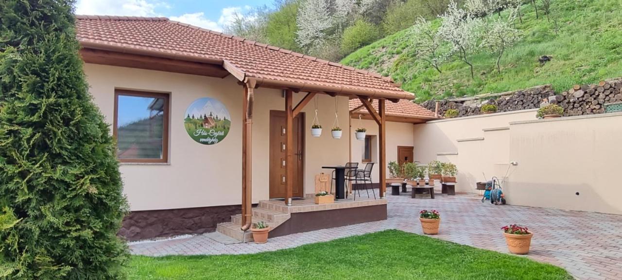 Hos-Cegledi Vendeghaz Miskolc -Oenallo Otthon, Mely Csak Az Oenoeke Exterior photo
