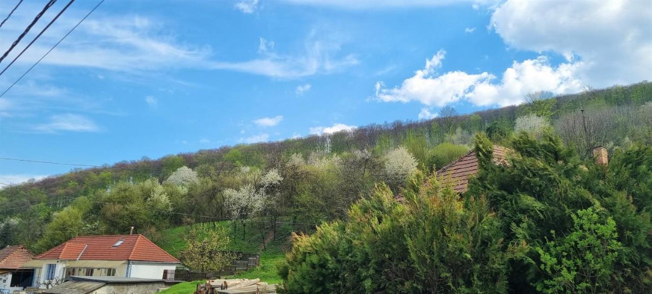 Hos-Cegledi Vendeghaz Miskolc -Oenallo Otthon, Mely Csak Az Oenoeke Exterior photo